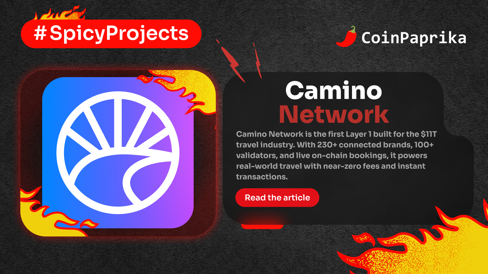 Spicy Projects #18: Camino Network